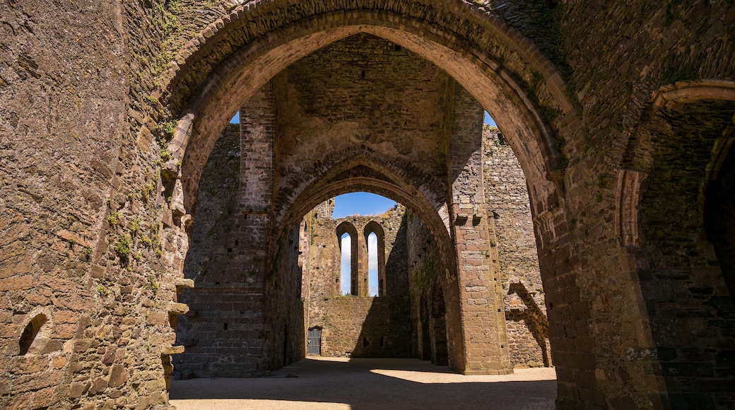 Dunbrody Abbey featuring heritage elements and building ruins
