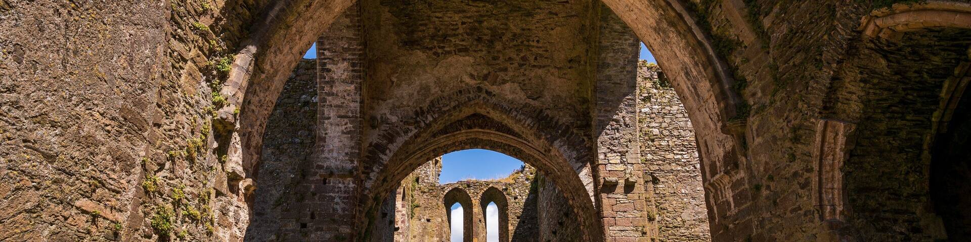 Dunbrody Abbey featuring heritage elements and building ruins