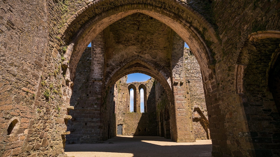 Dunbrody Abbey featuring heritage elements and building ruins