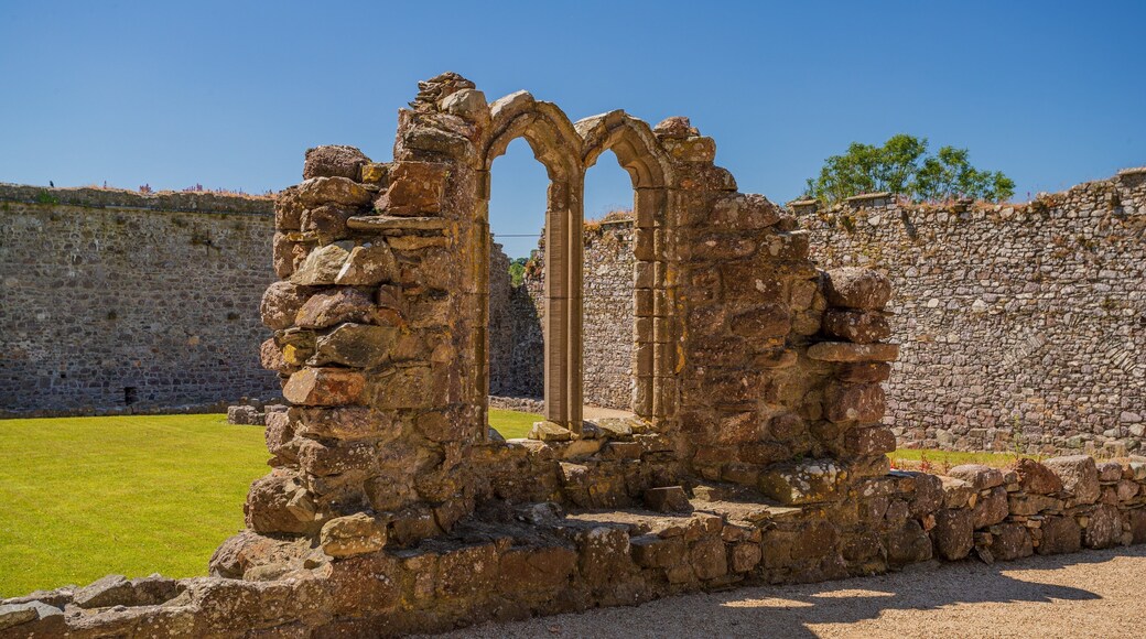 Dunbrody Abbey featuring heritage elements and building ruins
