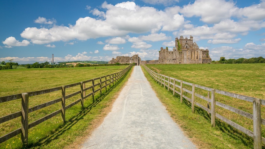 Dunbrody Abbey featuring heritage architecture, tranquil scenes and a castle
