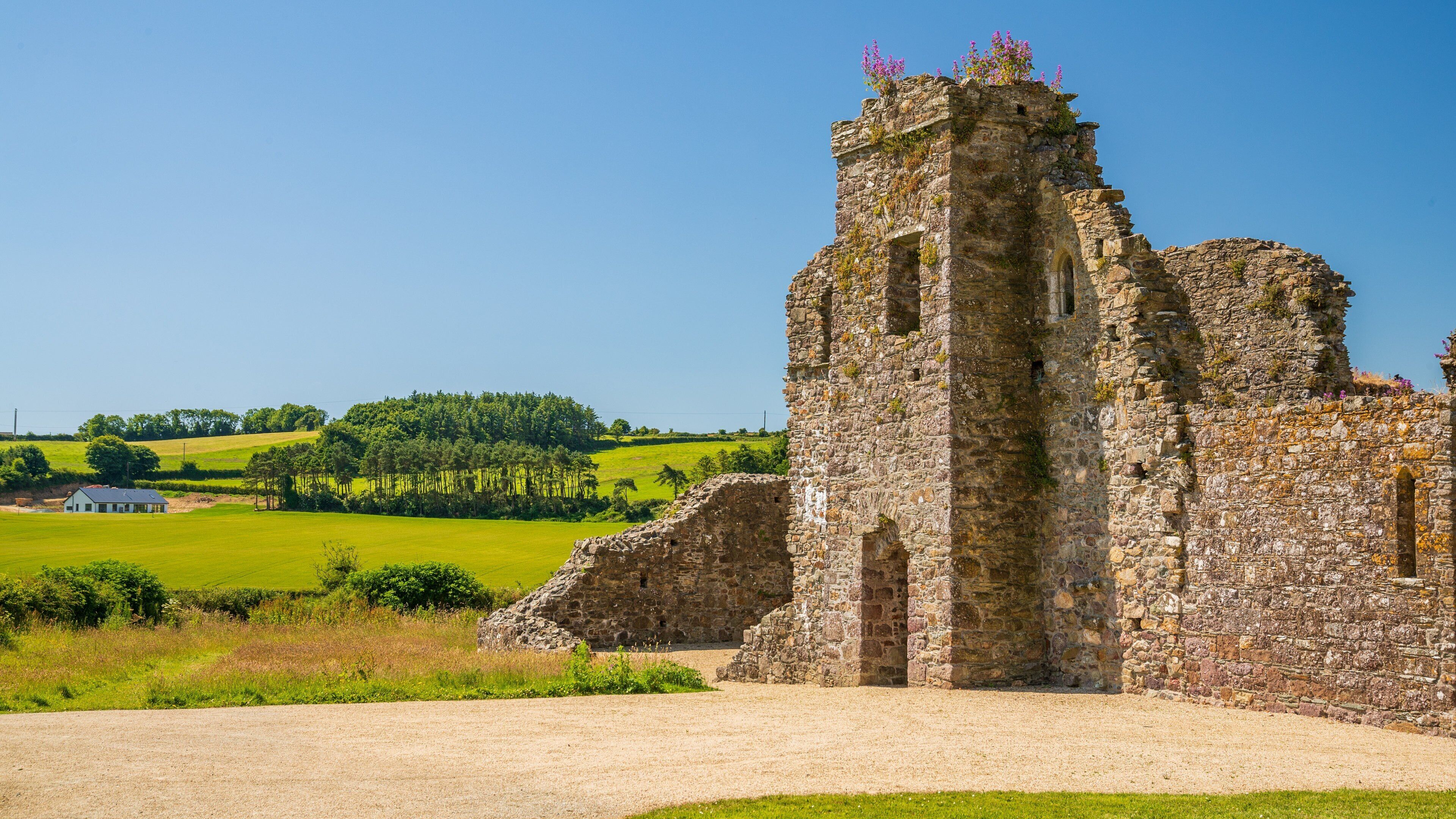 Dunbrody Abbey featuring heritage elements and a ruin