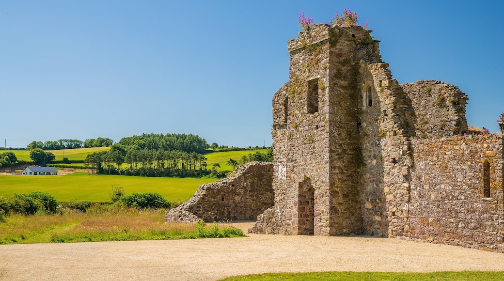 Dunbrody Abbey featuring heritage elements and a ruin