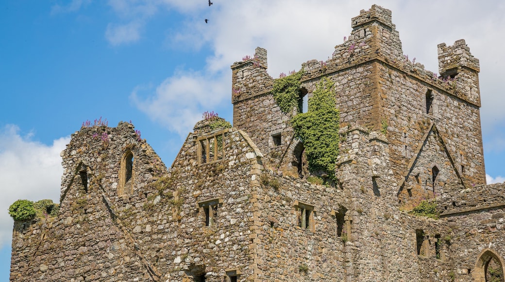 Dunbrody Abbey which includes heritage architecture and chateau or palace