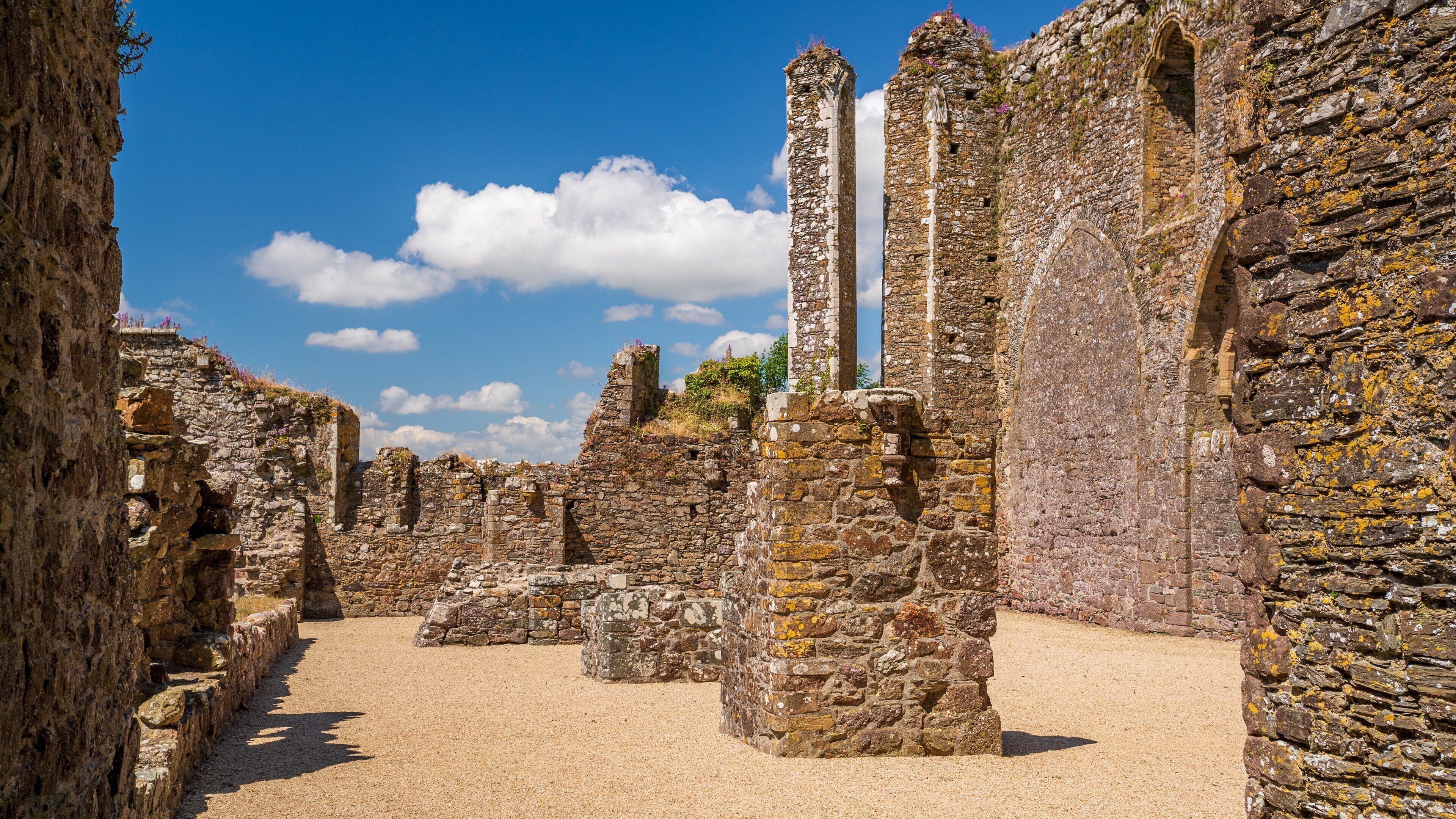 Dunbrody Abbey showing a ruin and heritage elements