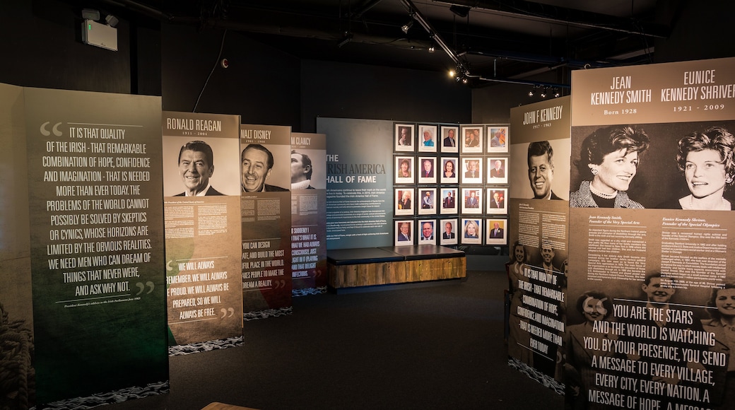 Dunbrody Emigrant Ship featuring interior views and signage