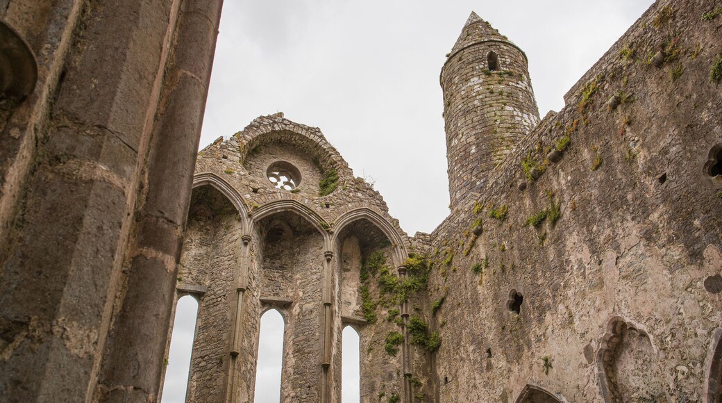 Rock of Cashel showing chateau or palace, heritage architecture and a ruin