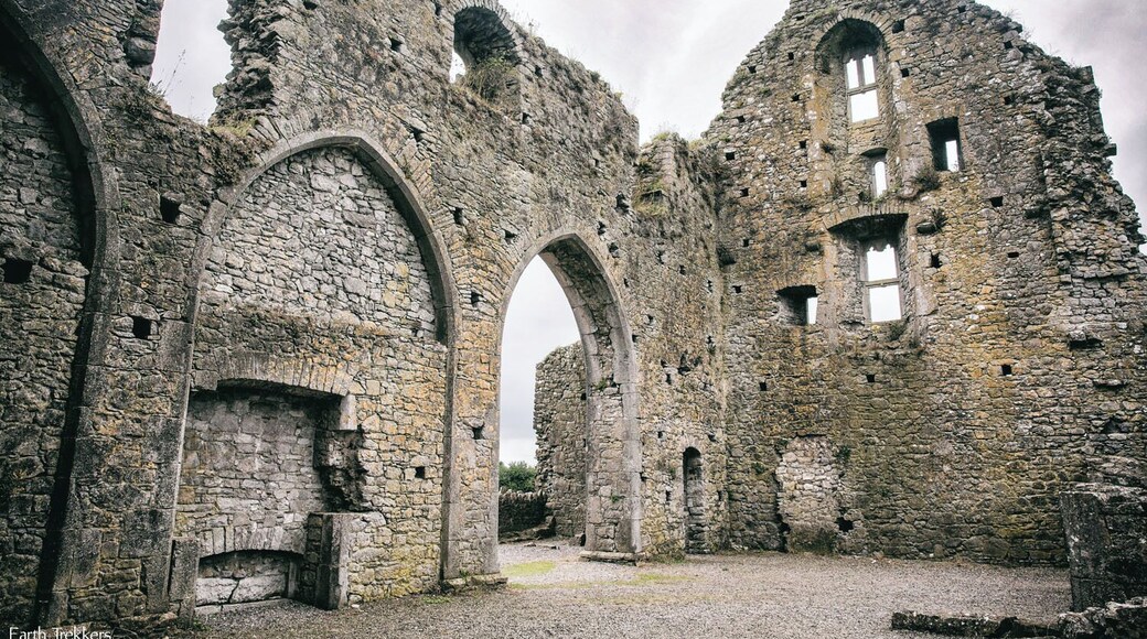 Hore Abbey is located just down the hill from the Rock of Cashel in Ireland. Most people skip this gem of a place. We loved wandering through this old monastery. With just a few people here, it is a better travel experience than the much more crowded Rock of Cashel.
Read more: http://www.earthtrekkers.com/hore-abbey-photos-drone-video/