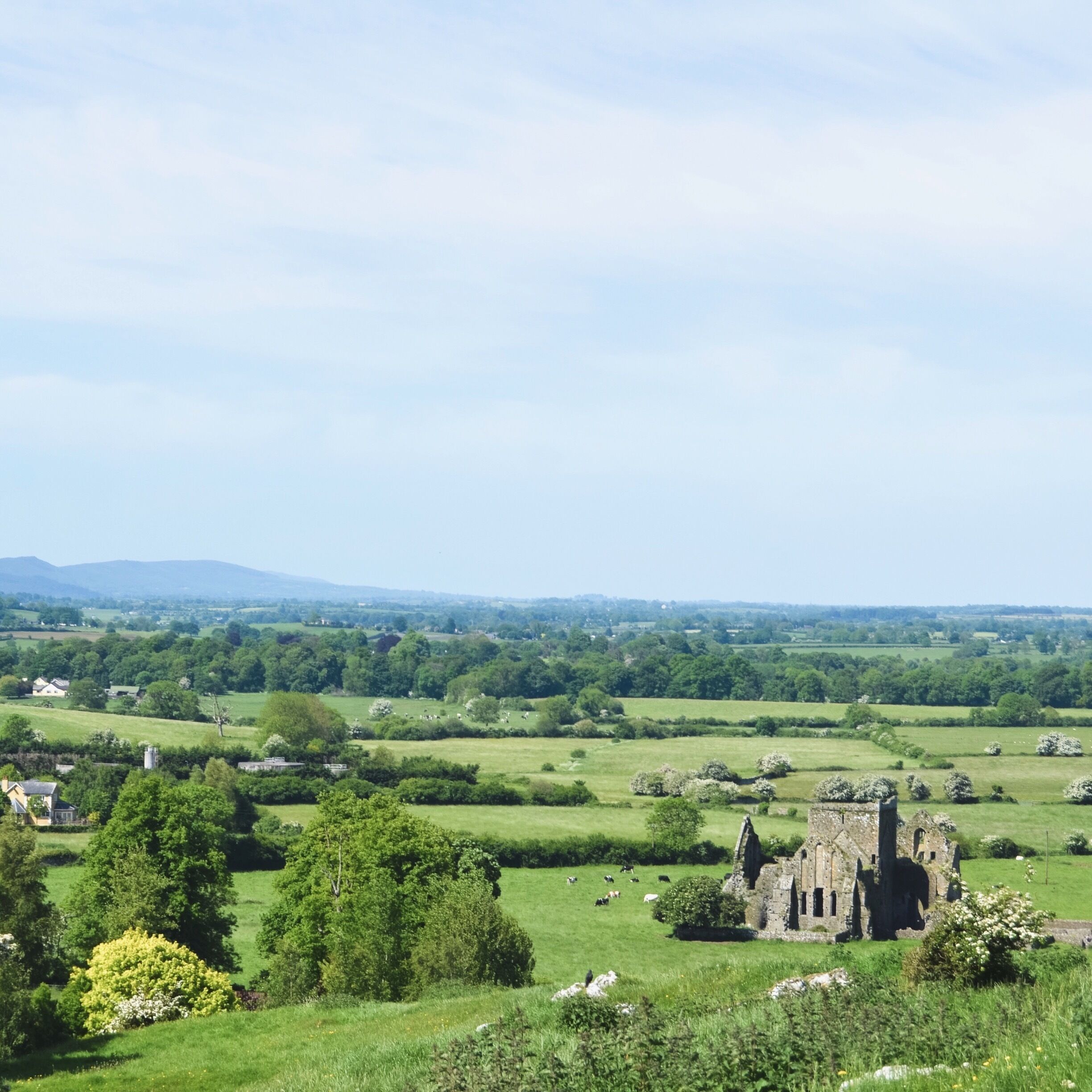 Hore Abbey (c1270) seen from the Rock of Cashel, co. Tipperary 
#InStone