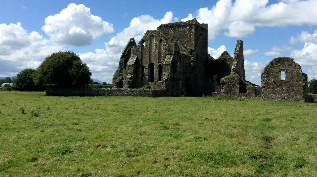 A favorite of mine to escape the crowds at Rock of Cashel. Careful of the cow deposits when walking around. Cows themselves were friendly enough.