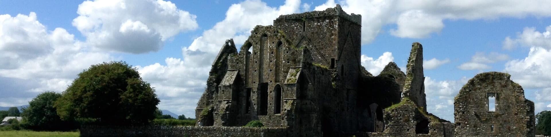 A favorite of mine to escape the crowds at Rock of Cashel. Careful of the cow deposits when walking around. Cows themselves were friendly enough.