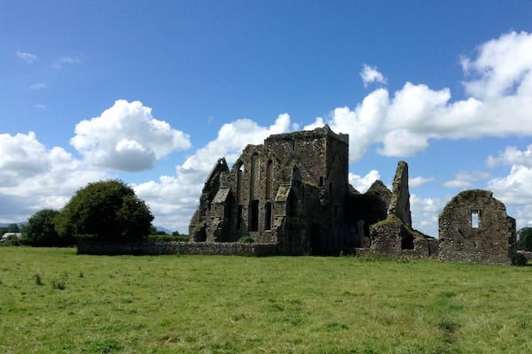 A favorite of mine to escape the crowds at Rock of Cashel. Careful of the cow deposits when walking around. Cows themselves were friendly enough.