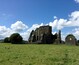 A favorite of mine to escape the crowds at Rock of Cashel. Careful of the cow deposits when walking around. Cows themselves were friendly enough.