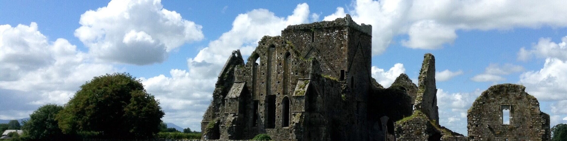 A favorite of mine to escape the crowds at Rock of Cashel. Careful of the cow deposits when walking around. Cows themselves were friendly enough.