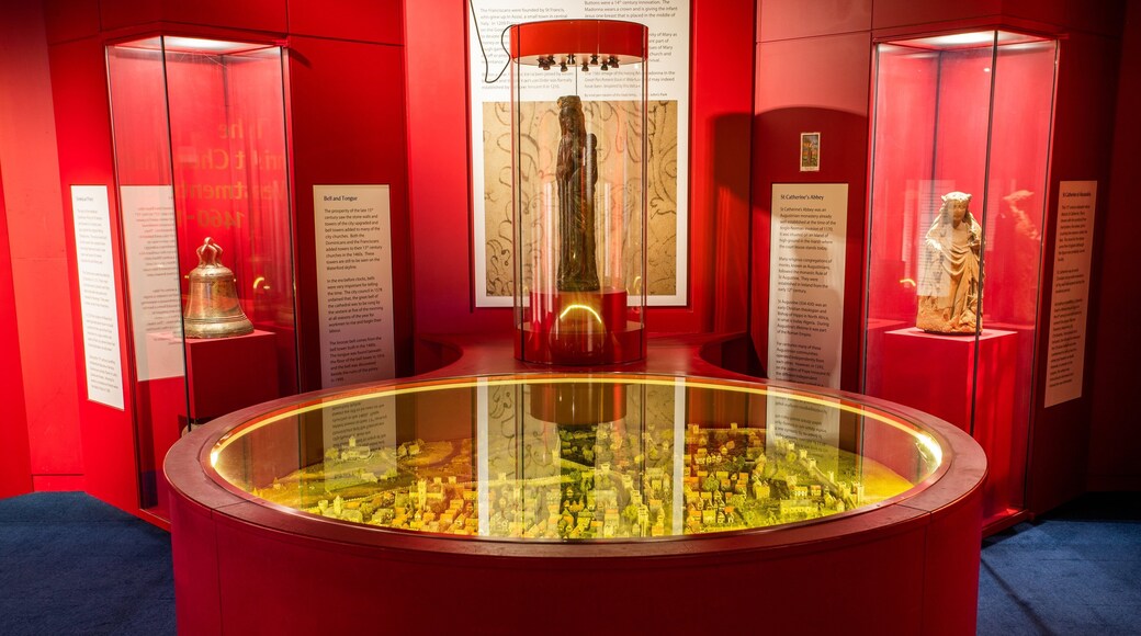 Waterford Treasures Museum showing heritage elements and interior views