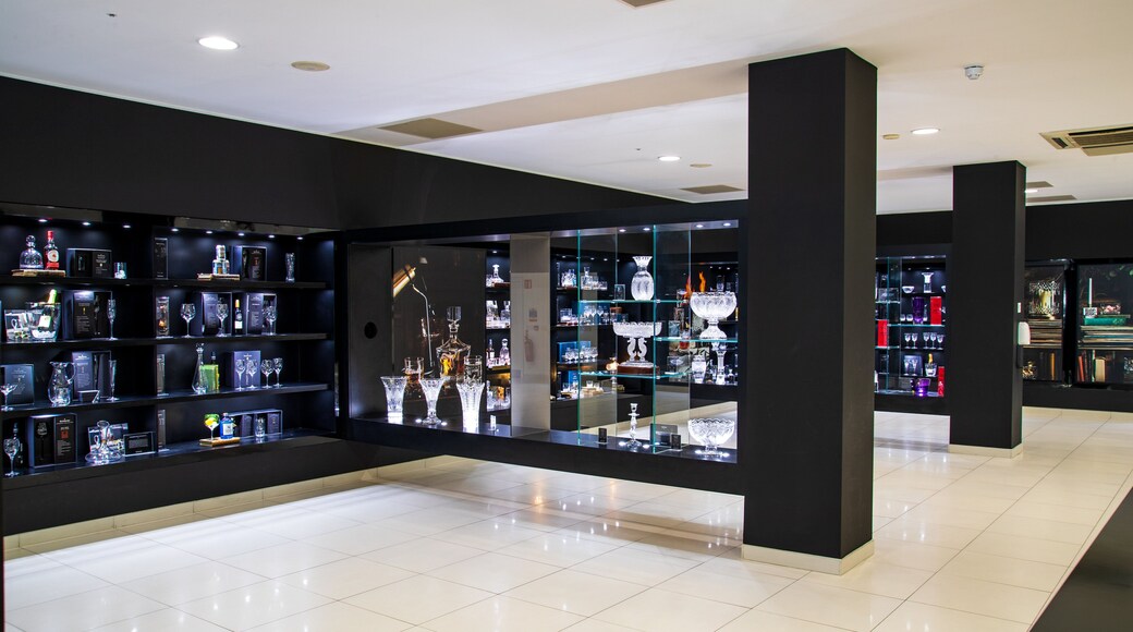 Waterford Crystal Factory which includes interior views and shopping