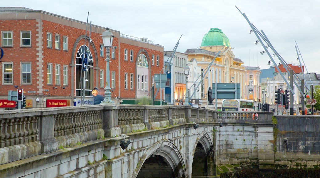 St. Patrick\'s Bridge bevat historische architectuur, een rivier of beek en een brug