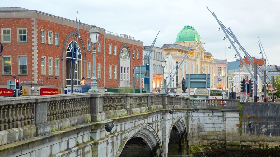 St. Patrick\'s Bridge which includes a bridge, heritage elements and a river or creek