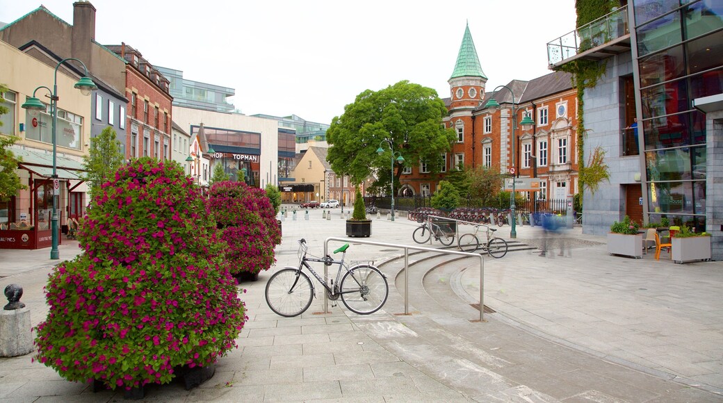Crawford Art Gallery featuring a square or plaza, a city and street scenes