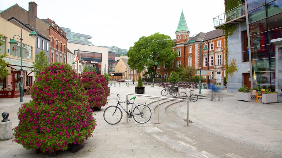 Crawford Art Gallery featuring a square or plaza, a city and street scenes