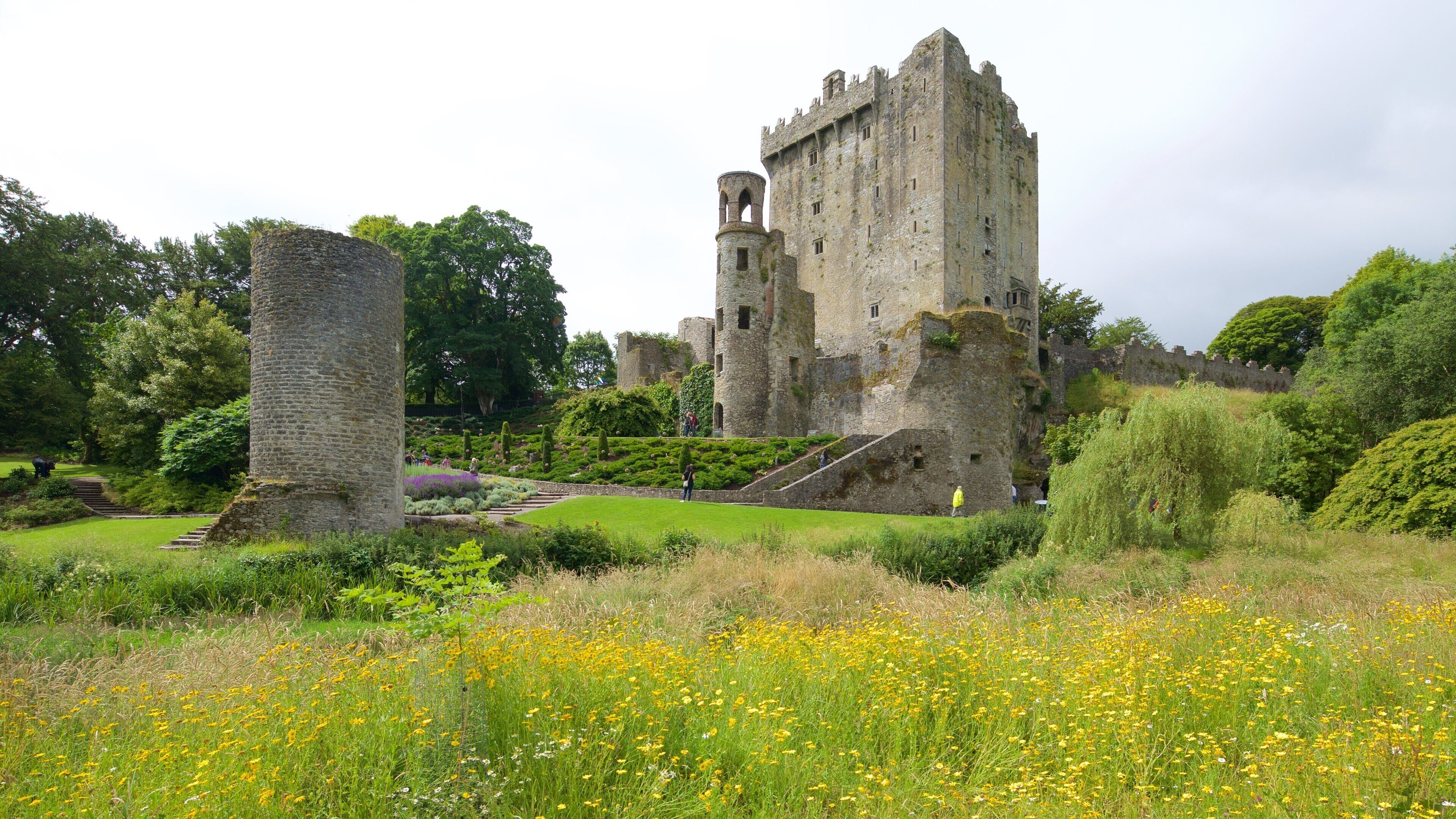 Blarney Castle which includes chateau or palace, wildflowers and heritage architecture