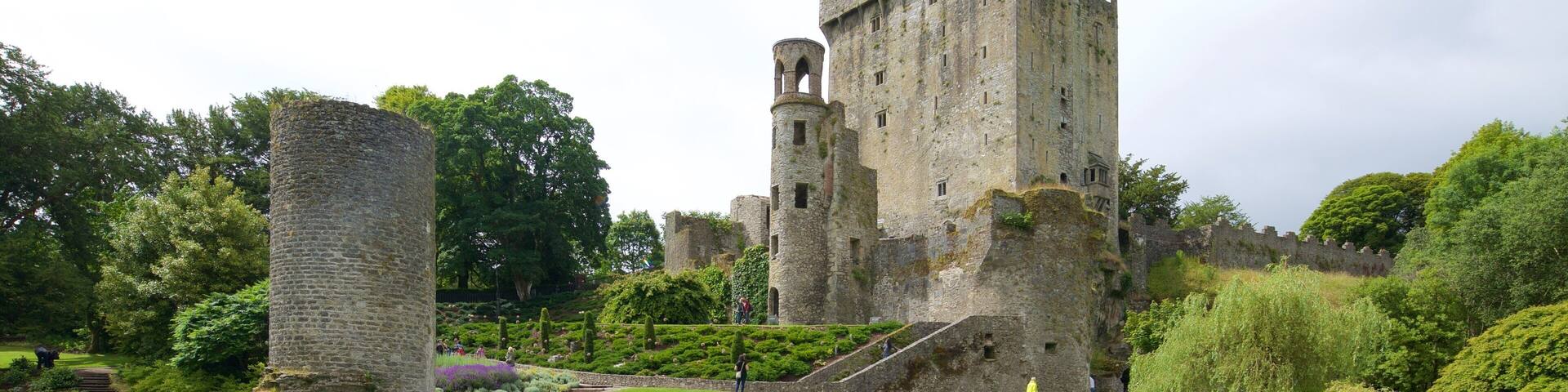 A historic castle with a tall tower, surrounded by lush greenery and a field of yellow flowers.