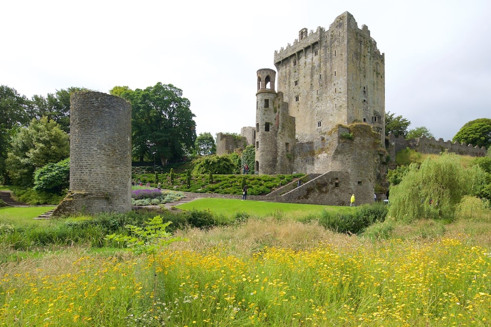 Un castello storico con un'alta torre, circondato da vegetazione rigogliosa e un campo di fiori gialli.