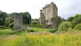 Un château historique, doté d’une haute tour, entouré d’une végétation luxuriante et d’un champ de fleurs jaunes.