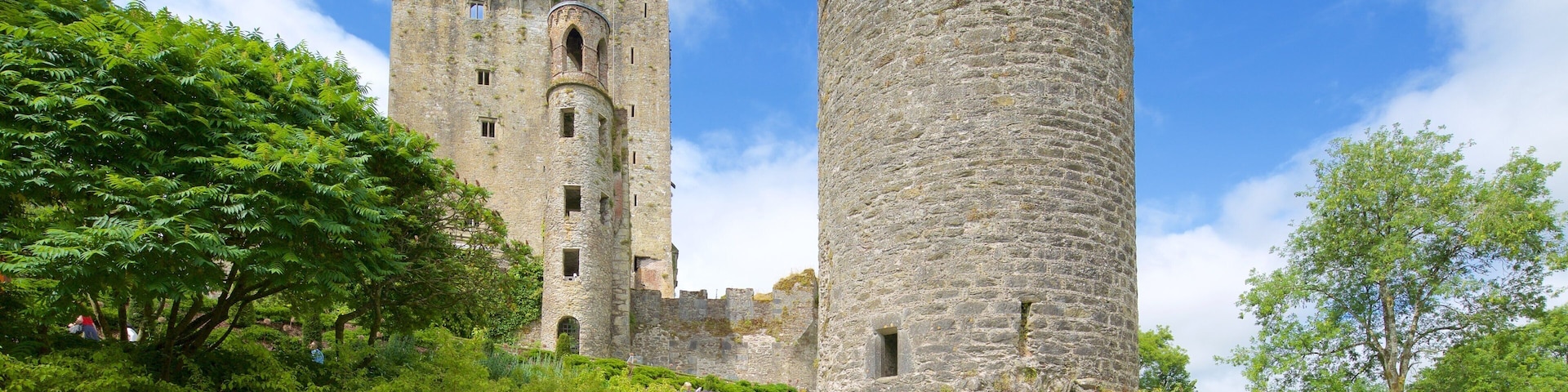 Castillo de Blarney ofreciendo arquitectura patrimonial, palacio y elementos patrimoniales