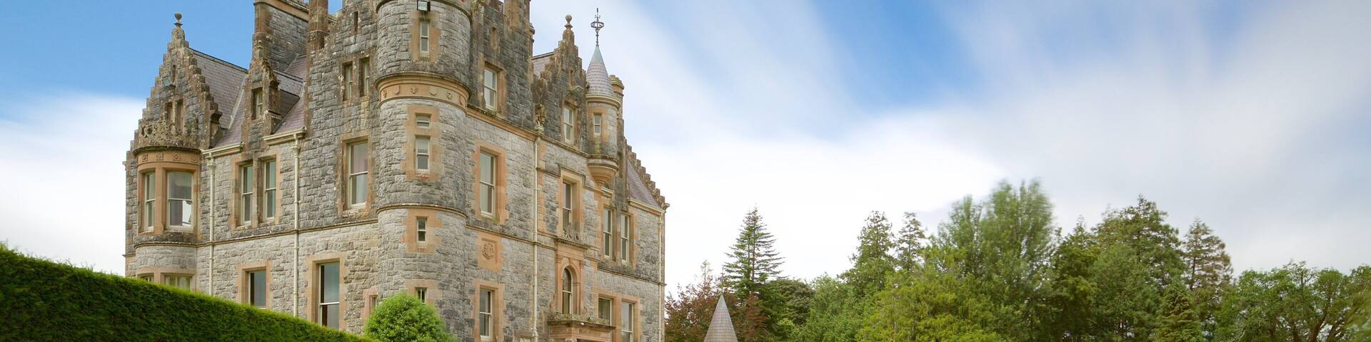 ChĂąteau de Blarney qui includes chĂąteau ou palais, patrimoine architectural et patrimoine historique