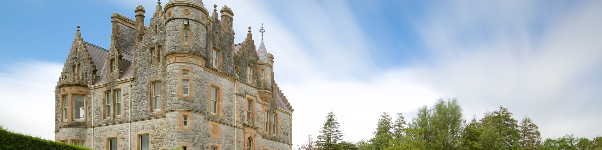 Blarney Castle featuring heritage elements, a castle and heritage architecture