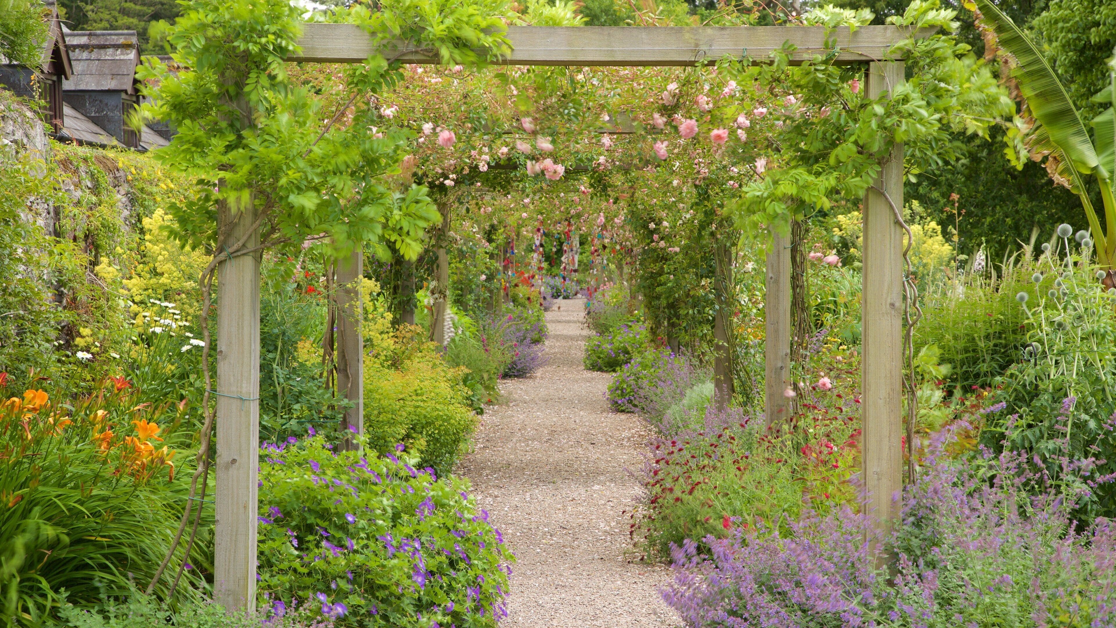 Blarney Castle which includes flowers and a park