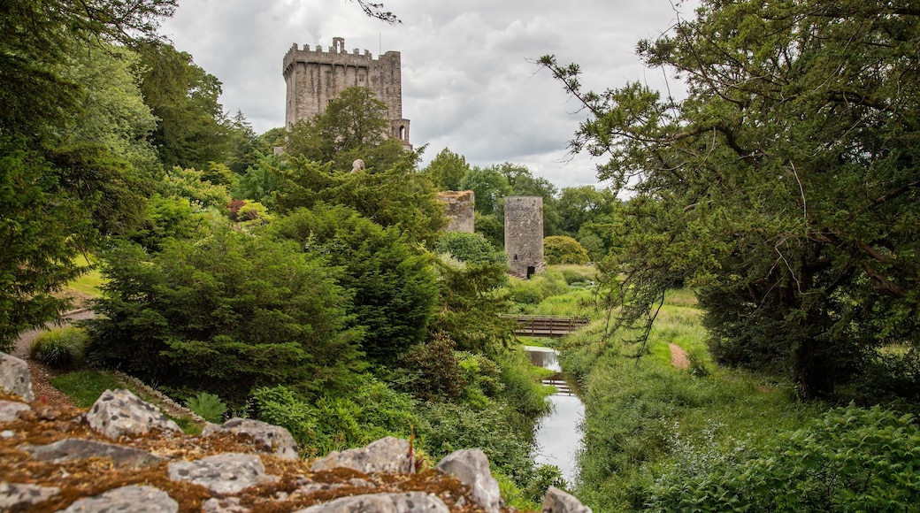 Blarney Castle which includes a river or creek, heritage elements and a ruin