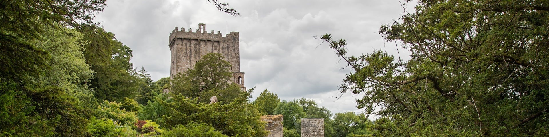 Blarney Castle which includes a river or creek, heritage elements and a ruin