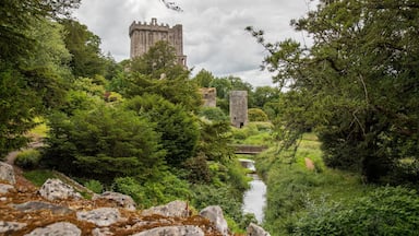 Blarney Castle which includes a river or creek, heritage elements and a ruin