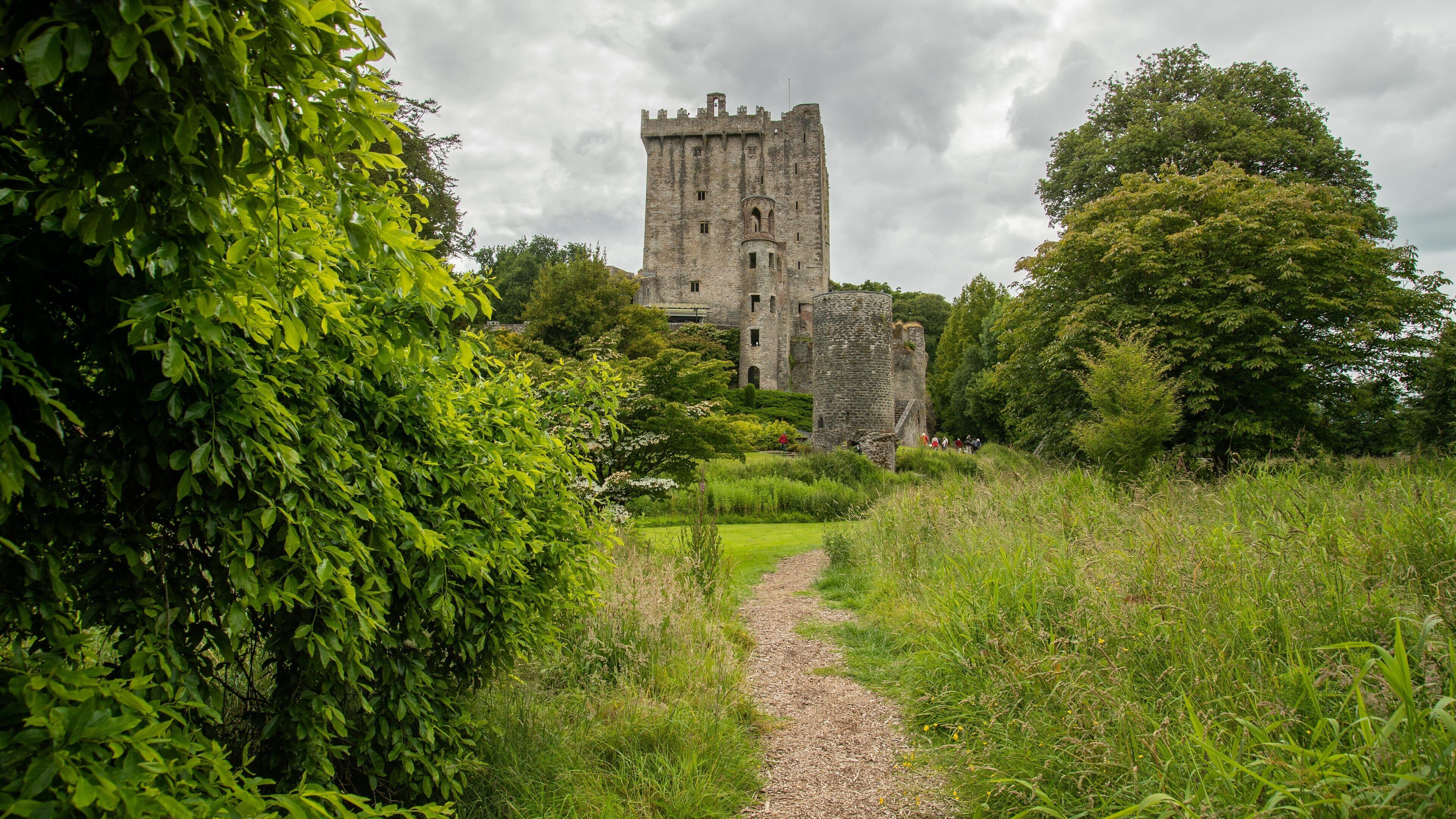 Blarney Castle showing chateau or palace and heritage architecture