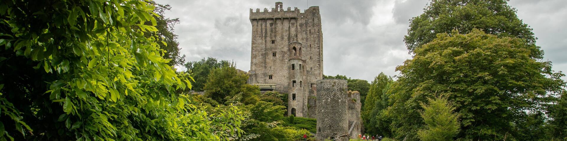 Blarney Castle showing chateau or palace and heritage architecture