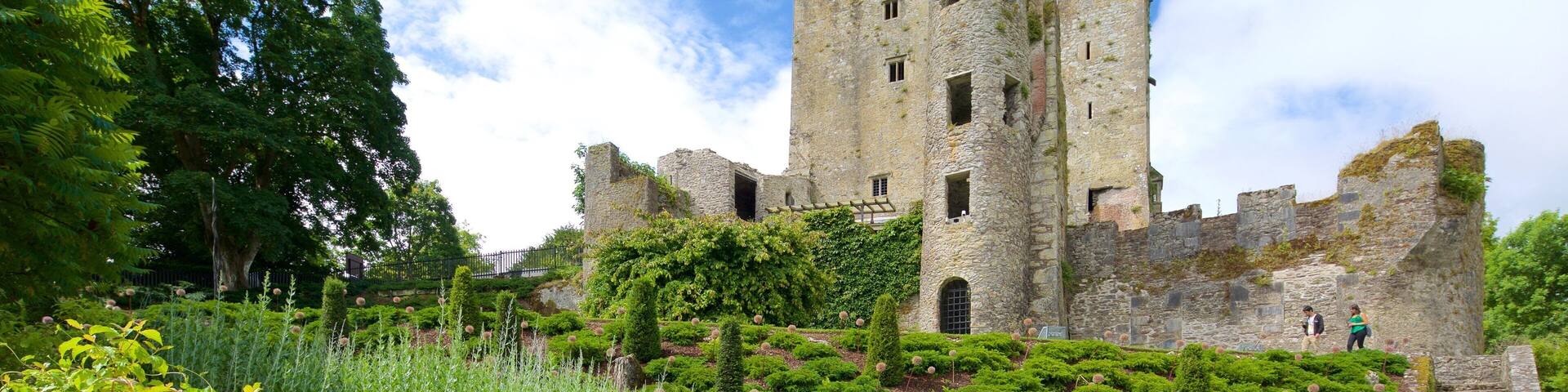 Blarney Castle showing chateau or palace, heritage architecture and heritage elements