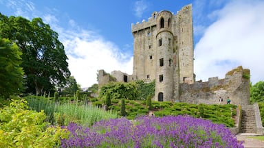 Blarney Castle showing heritage architecture, a castle and flowers