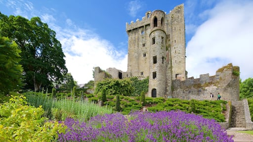 Blarney Castle som inkluderer palass, blomster og kulturarv