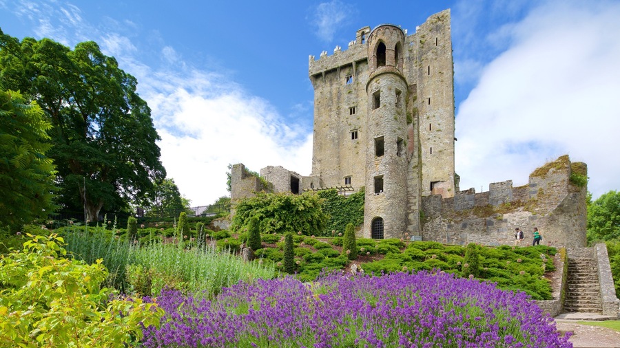 Blarney Castle caracterizando um pequeno castelo ou palácio, arquitetura de patrimônio e flores