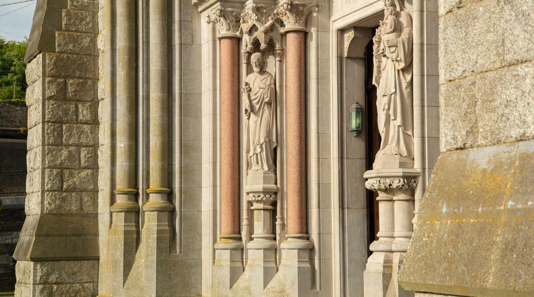Cobh Cathedral featuring a church or cathedral, religious elements and heritage elements
