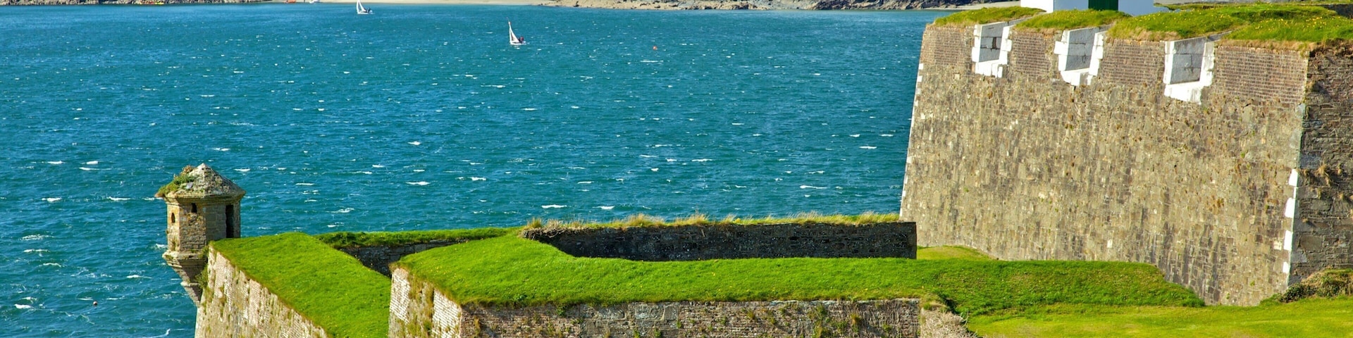 Cork featuring a coastal town, rocky coastline and landscape views