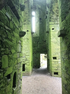 A beautiful old Abby which is worth a visit.