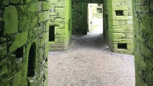 A beautiful old Abby which is worth a visit.