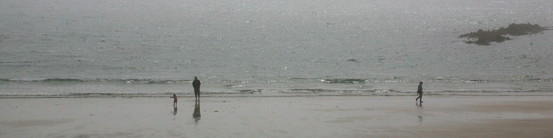 Sherkin Island lies in the sheltered waters of Roaringwater Bay, west Cork. It is a relatively small island, no more than 5km by 3km, with a current population of approximately 100. There is easy access by ferry from Baltimore, a trip of about 15 minutes. The island offers a special experience for anyone with an interest in wildlife and the marine. It is one of the best places in Europe to observe the European Otter (Lutra lutra) - there are signs of them everywhere if you know what to look for. The island is also home to the independently run Sherkin Island Marine Station, which celebrates its 40th anniversary this year.