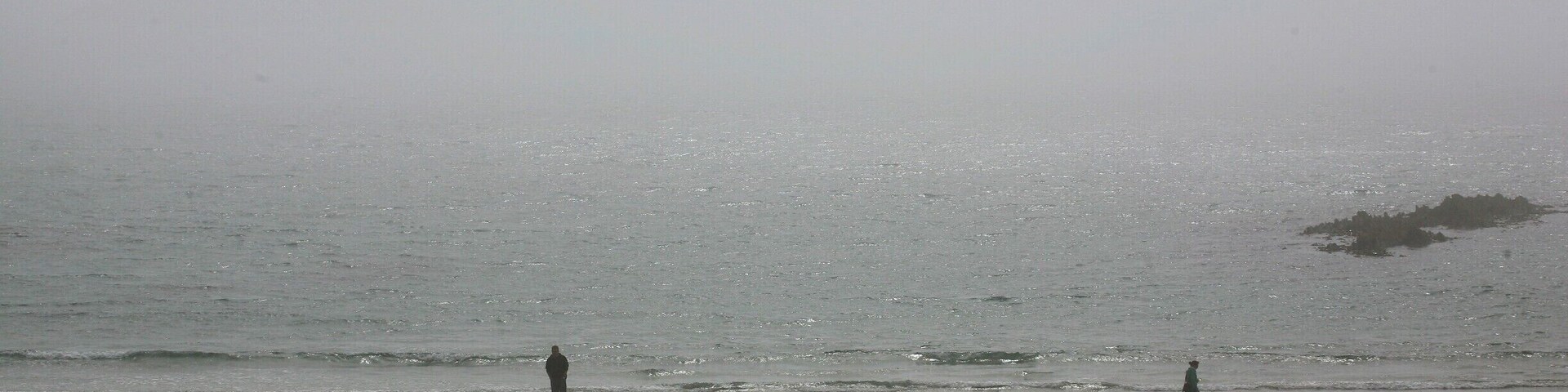 Sherkin Island lies in the sheltered waters of Roaringwater Bay, west Cork. It is a relatively small island, no more than 5km by 3km, with a current population of approximately 100. There is easy access by ferry from Baltimore, a trip of about 15 minutes. The island offers a special experience for anyone with an interest in wildlife and the marine. It is one of the best places in Europe to observe the European Otter (Lutra lutra) - there are signs of them everywhere if you know what to look for. The island is also home to the independently run Sherkin Island Marine Station, which celebrates its 40th anniversary this year.