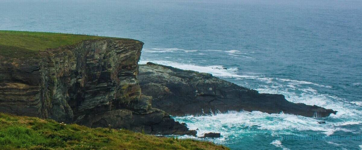 A coastal cliff with a grassy plateau and a rugged coastline.