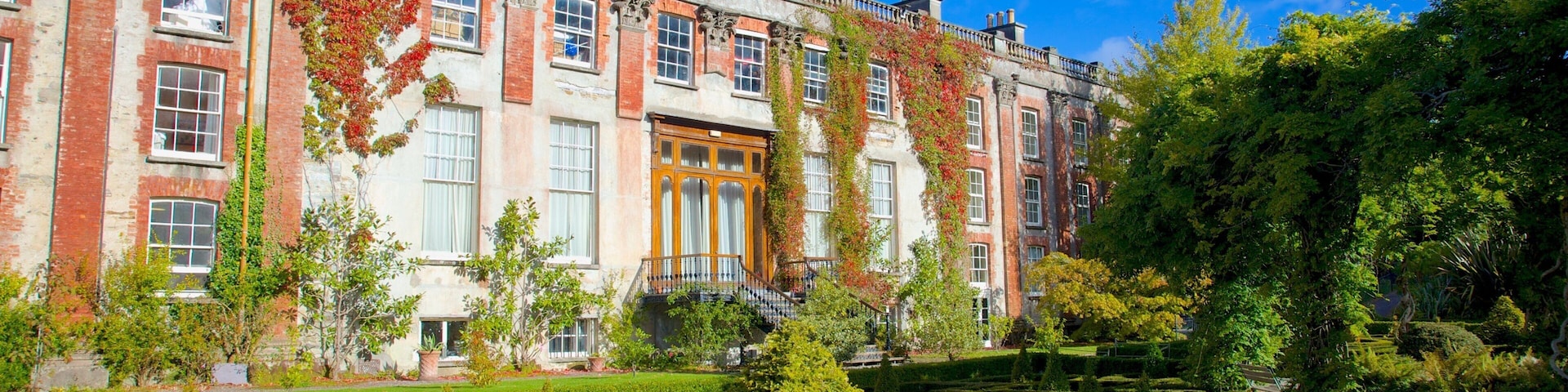 Bantry House mostrando um pequeno castelo ou palácio, uma cidade e arquitetura de patrimônio