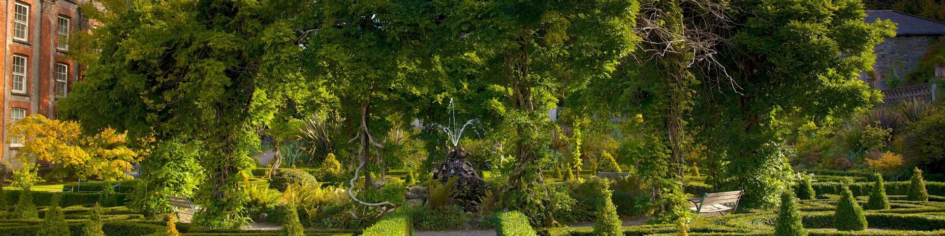 Bantry House and Garden which includes a garden